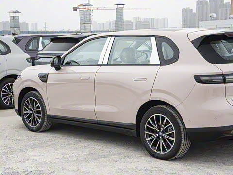 2025�� 600������