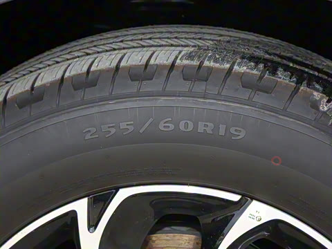 2025�� �Ŀ� 2.0T ����������