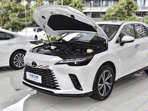 2026�� 300 ����������