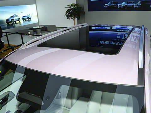 2025�� 501KM ����Max��