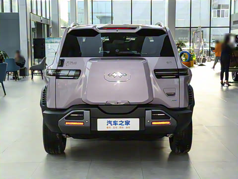 2025�� 501KM ����Max��