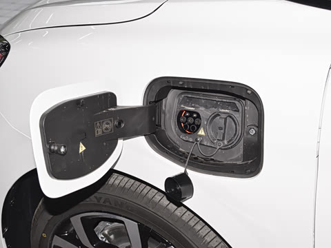 2026�� 530 ��Ȥ��