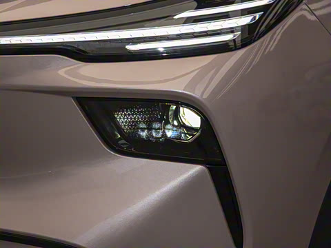 2025�� 565km ������