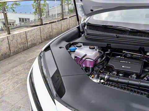 2025�� DM-i 121�캽��