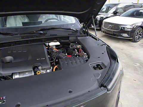 2026�� ������������Plus