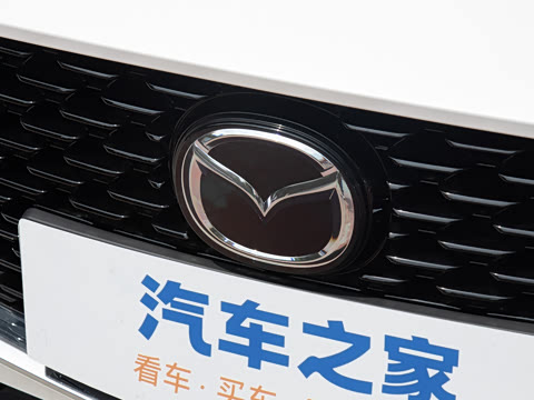 2025�� 2.0L �Զ������