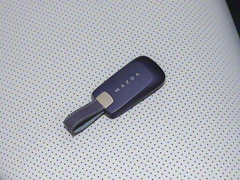 2025�� ����600 Pro