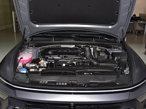 2024�� 2.0T N Line Pro