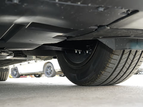 2026�� ���� 565 Plus