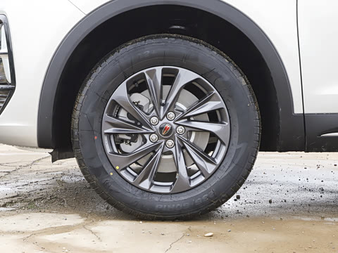 2026�� 2.0T ��������Pro��