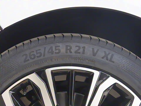 2026�� �������̼�����