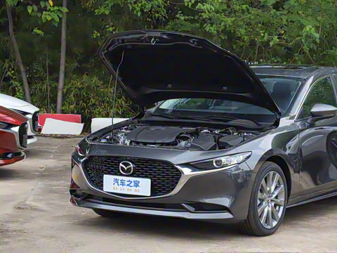 2025�� 2.0L �Զ����Ű�