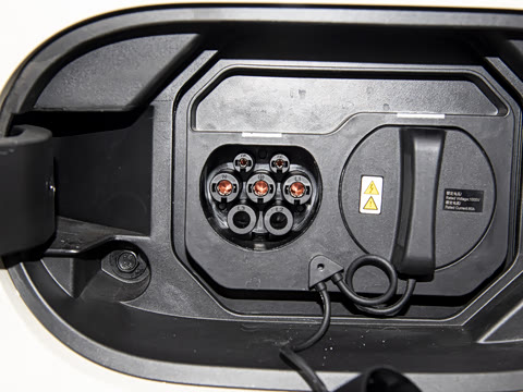 2026�� ����� 301km ���׿�