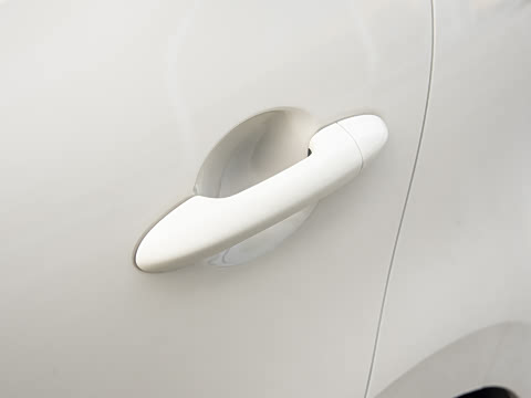 2026�� ����� 301km ���׿�