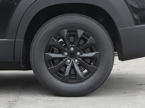 2026�� 2.5L ���а�