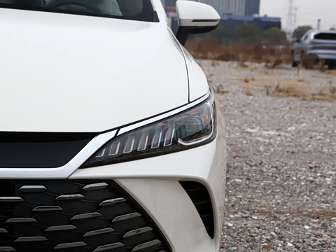 2026�� DM-i 210KM��ȡ��