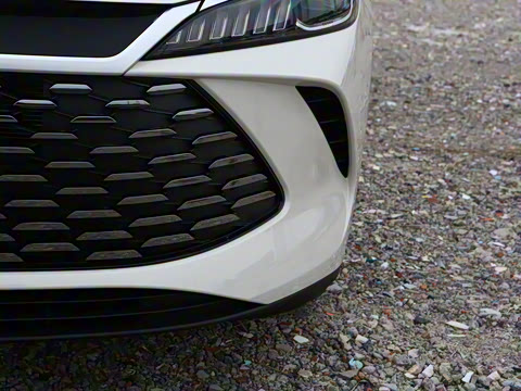 2026�� DM-i 210KM��ȡ��