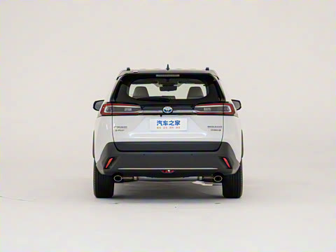 2024�� ˫�� 2.5L E-CVT��������