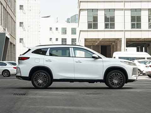 2025�� 300T ������ҹ��