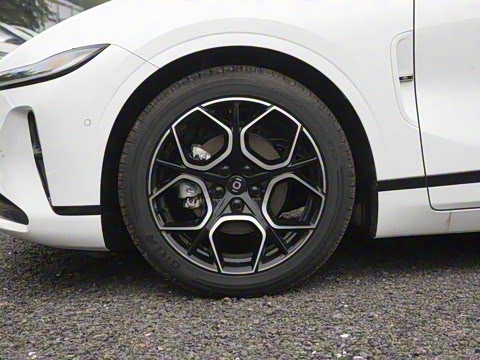 2026�� �����������̰� 310�콢��