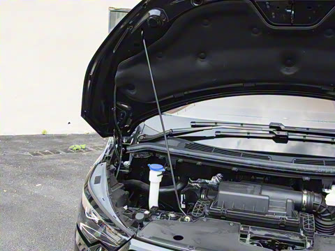 2025�� �Զ�������