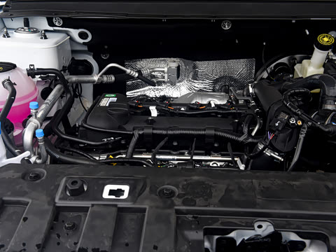 2026�� 1.5T �ֶ���Խ�� 5��