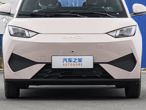 2026�� 305km ������