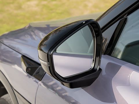 2026�� ˫���