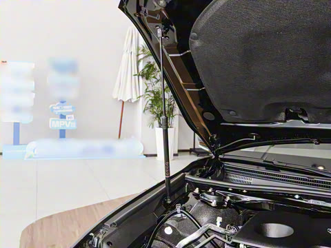 2026�� 2.0GVP ������