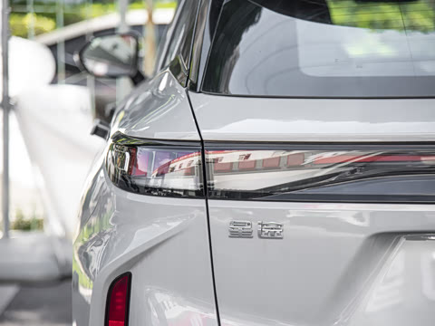 2025�� 100������Plus����