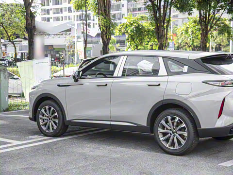 2025�� 100������Plus����