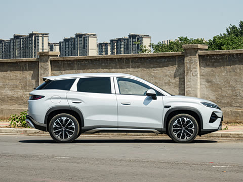 2026�� DM-i 310KM ��Խ��