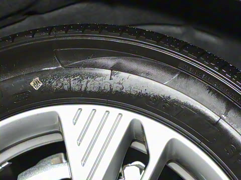 2025�� 565km ������