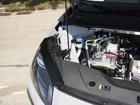 2026�� 650�Ǻ���