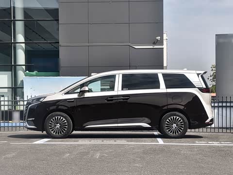 2025�� DM-i ��������