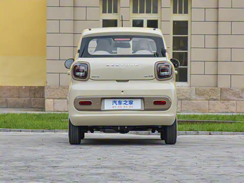 2026�� 222km ������