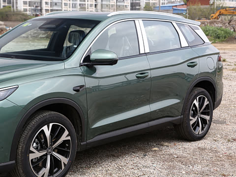 2026�� DM-i 220KM��Խ��