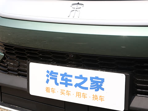 2026�� DM-i 220KM��Խ��