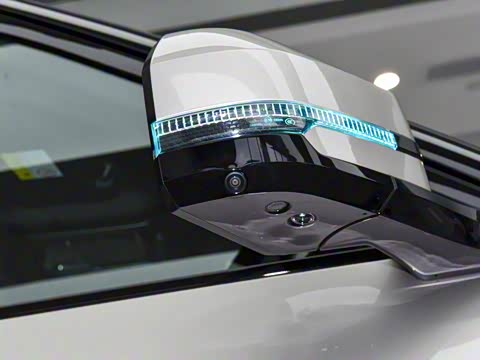 2025�� ���º����� 5��