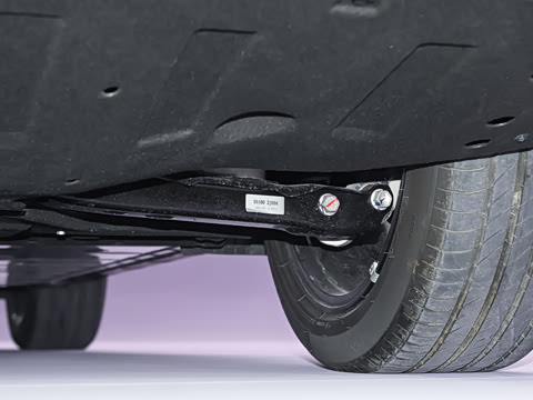 2026�� ���� 81kWh