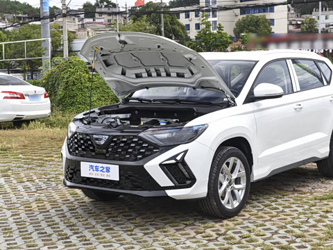 2026�� 280TSI �Զ��ȷ��