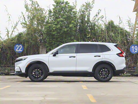 2026�� ȫ��30����ҫ�� 2.0L e:HEV ����������