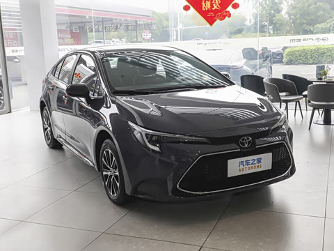 2026�� ����L 185T ������