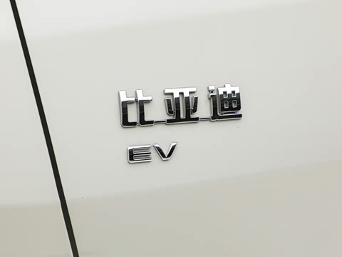 2026�� 305km ������