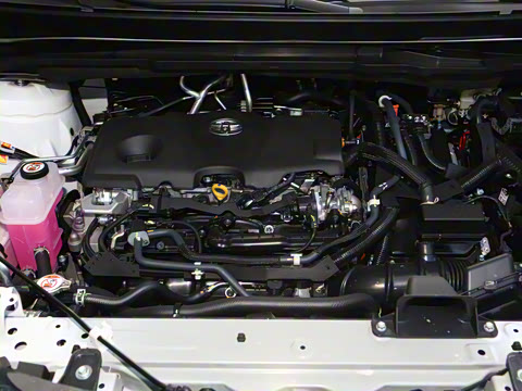 2026�� �߶���