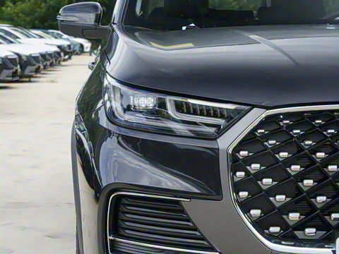 2025�� 290TGDI DCT����� 7��