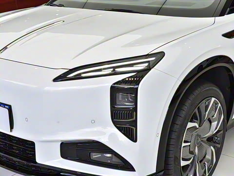 2025�� 565�����ȷ��