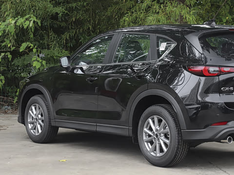 2025�� 2.0L �Զ���������Pro