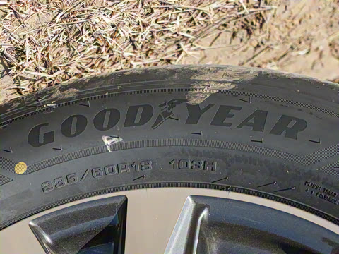 2026�� ˫�� 2.0L ����������