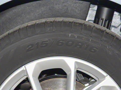 2026�� 60km̽����